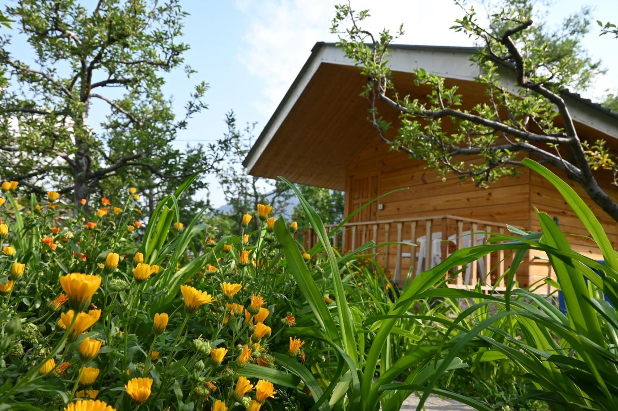 Cascade Mountain Retreat Manali B&B 외부 사진