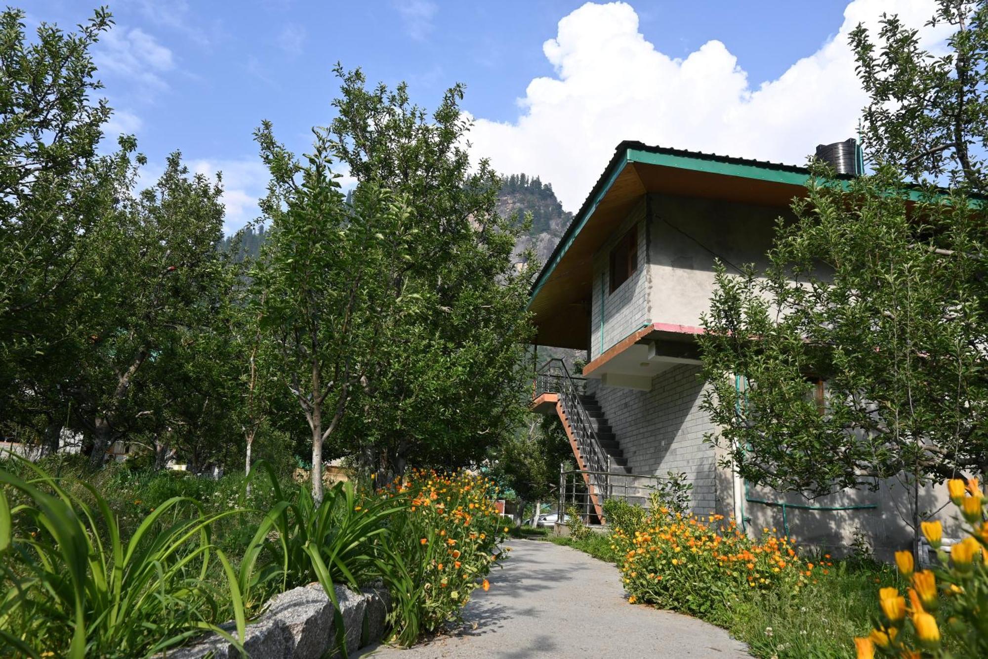 Cascade Mountain Retreat Manali B&B 외부 사진