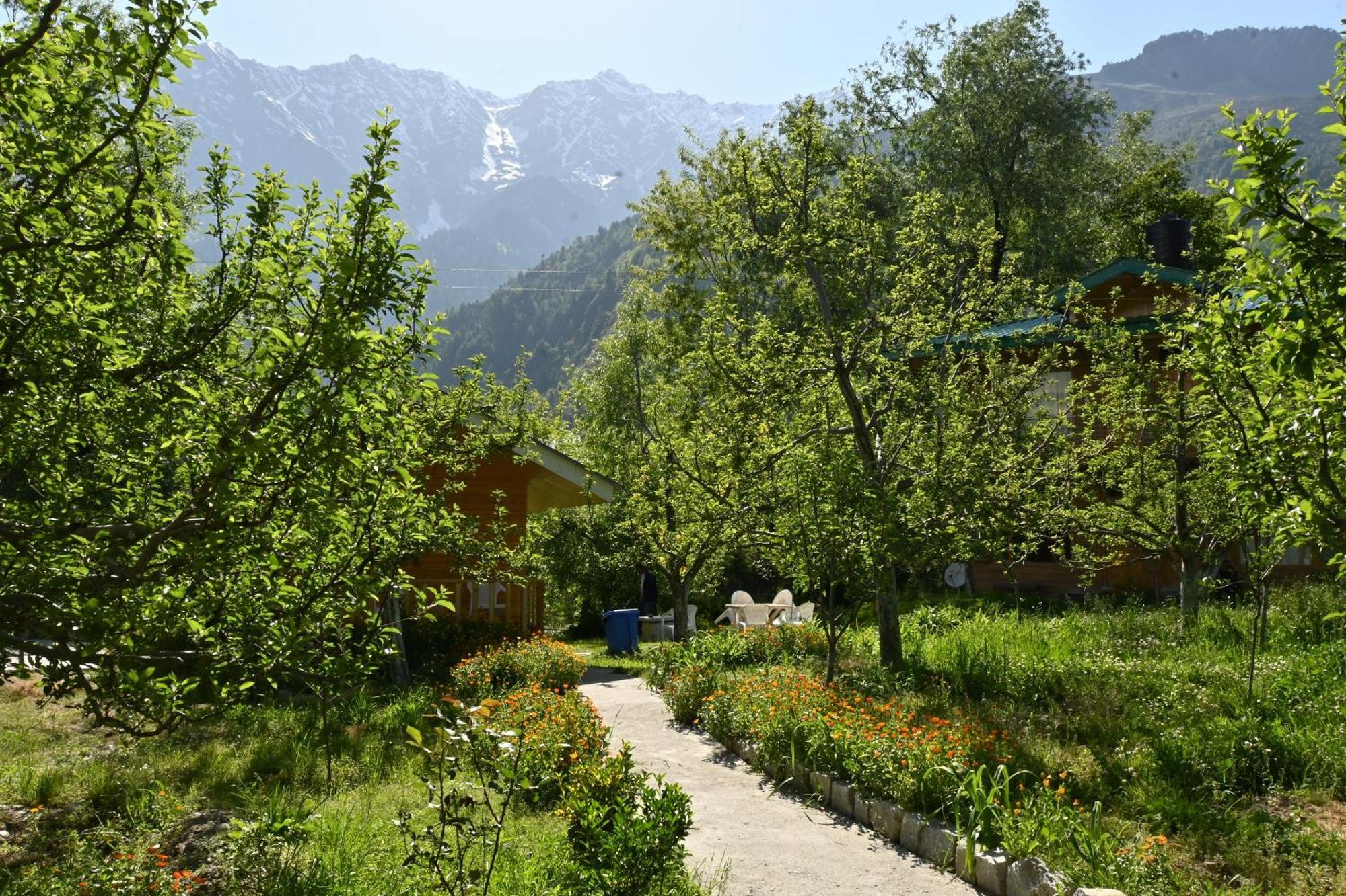 Cascade Mountain Retreat Manali B&B 외부 사진